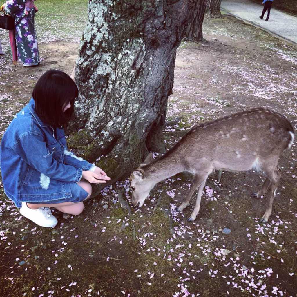 福柯的生死爱欲