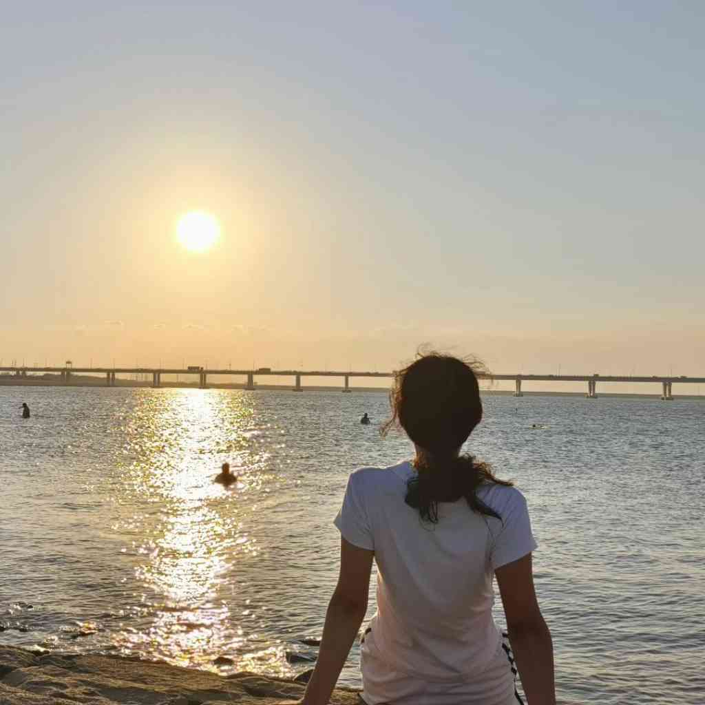 2019年经济师《经济基础知识（中级）》复习全书【要点精讲＋历年真题详解】