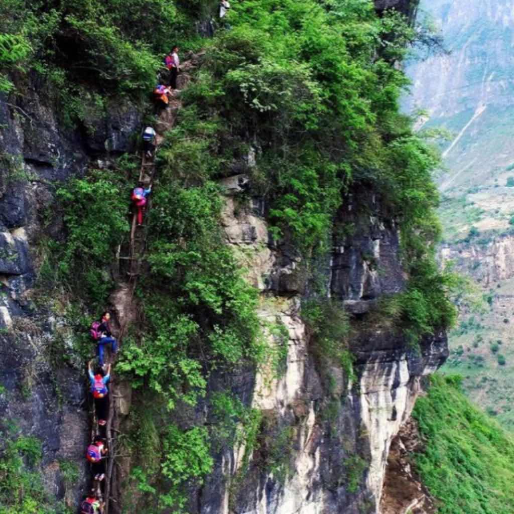 静静的顿河（全集）