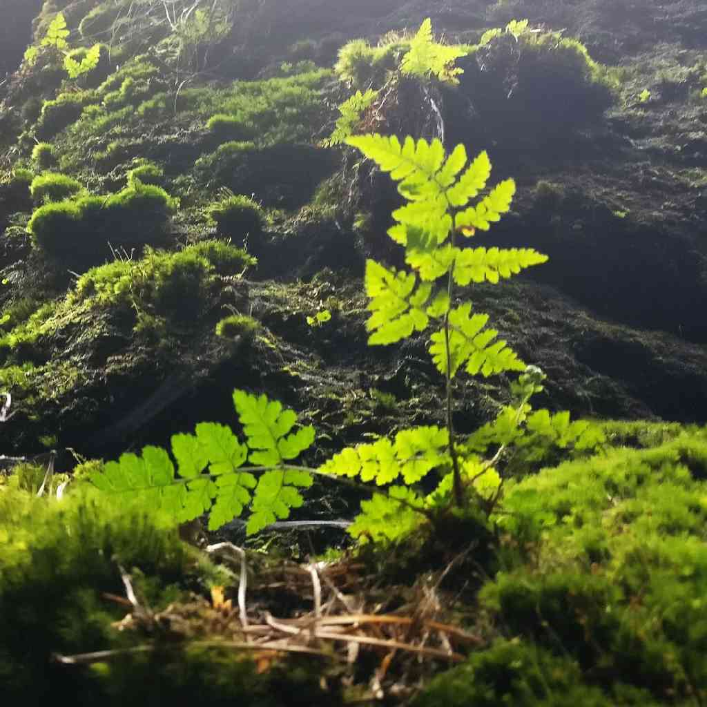 吴子 尉缭子 司马法 孙膑兵法全鉴