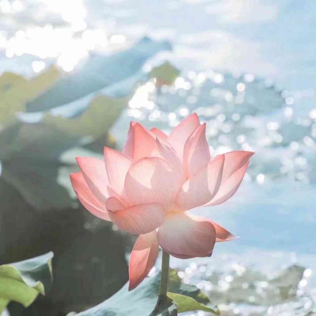 逻辑思维
