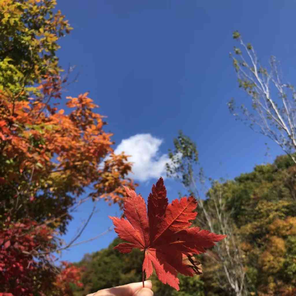 与神对话（3）