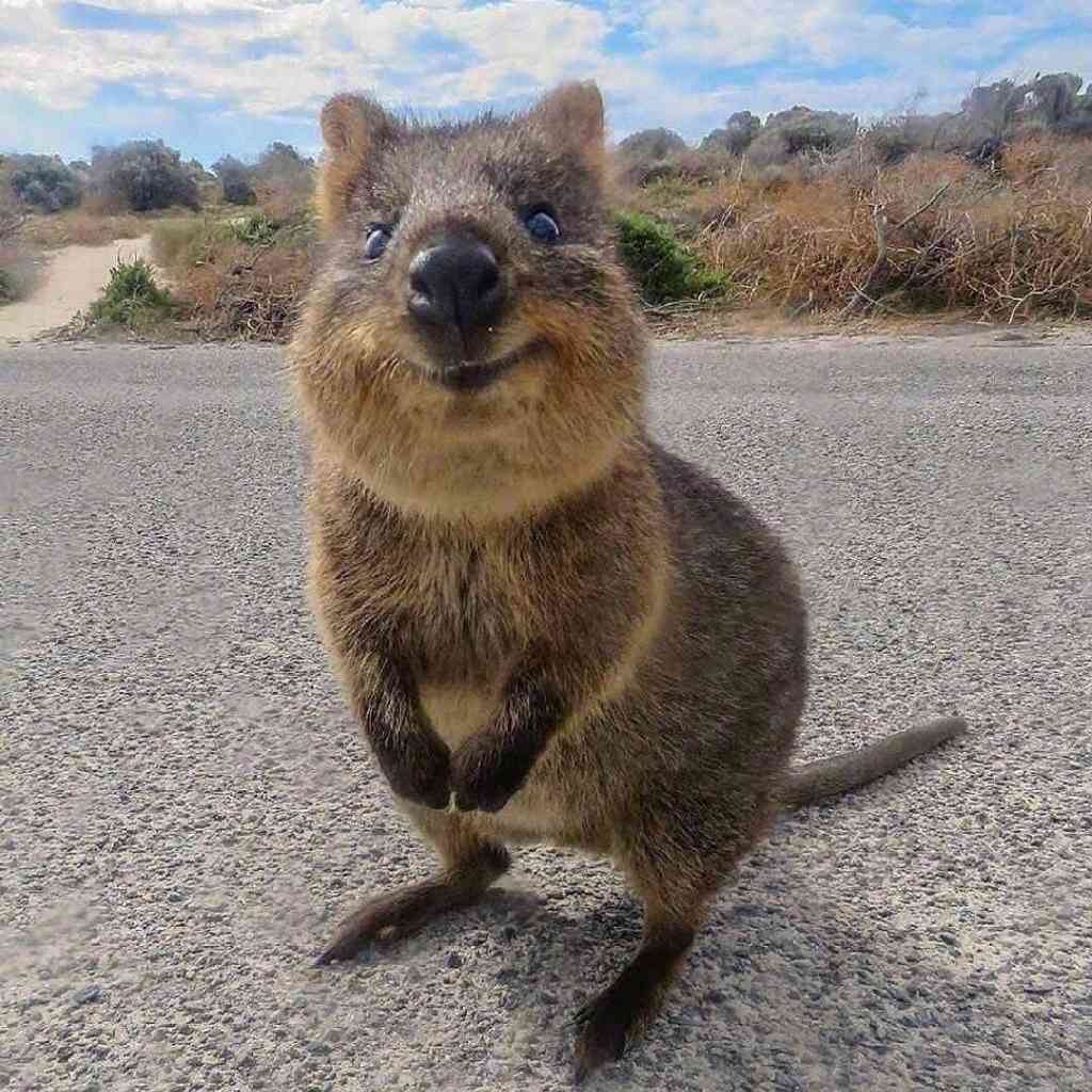 安全感