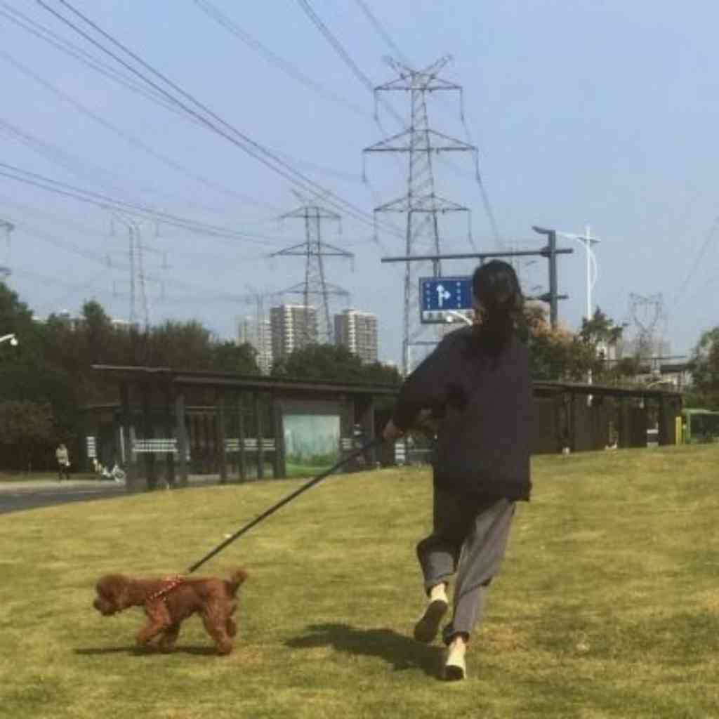 模糊性的道德