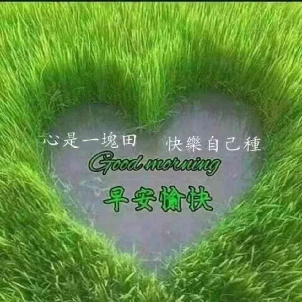 冥想：唤醒内心强大的力量