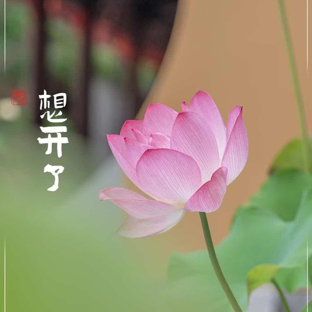 列奥纳多·达·芬奇传