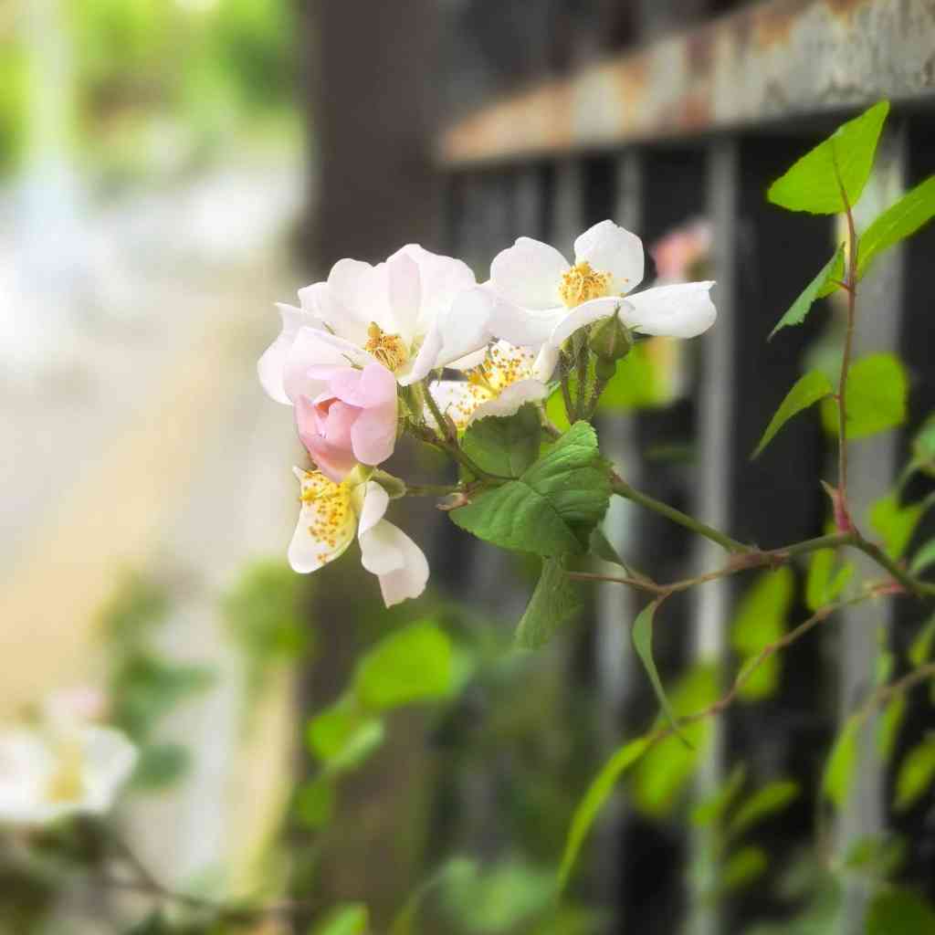 应变思维：看穿情势的本质和隐藏的力量