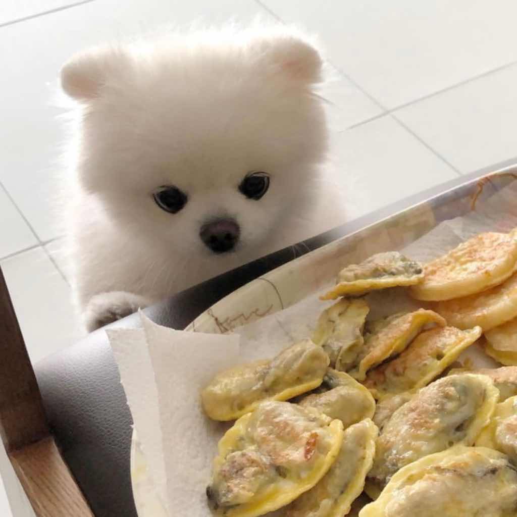 只想和你好好过一生（套装共2册）