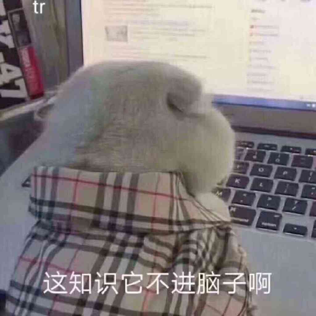 乡下人的悲歌