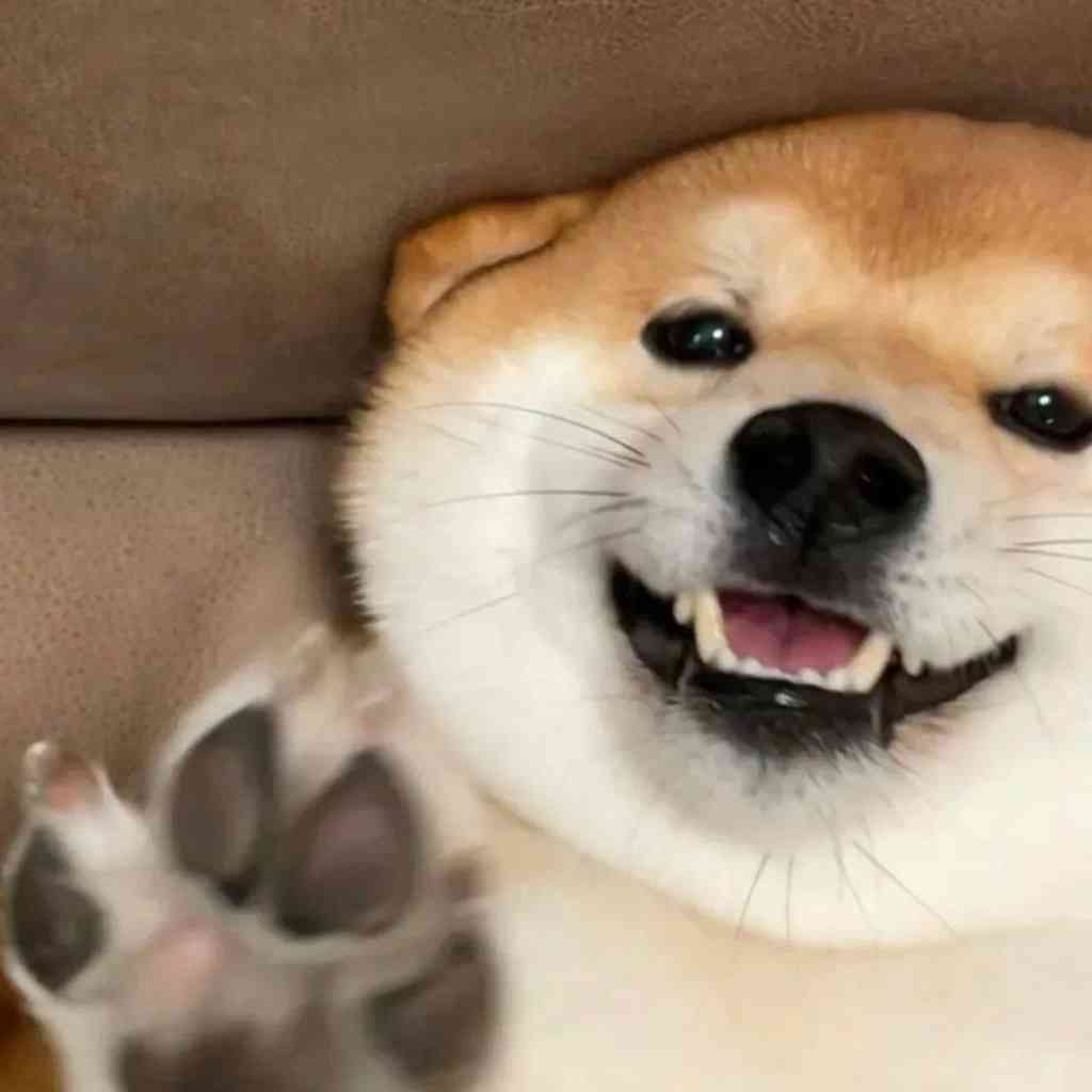 微表情