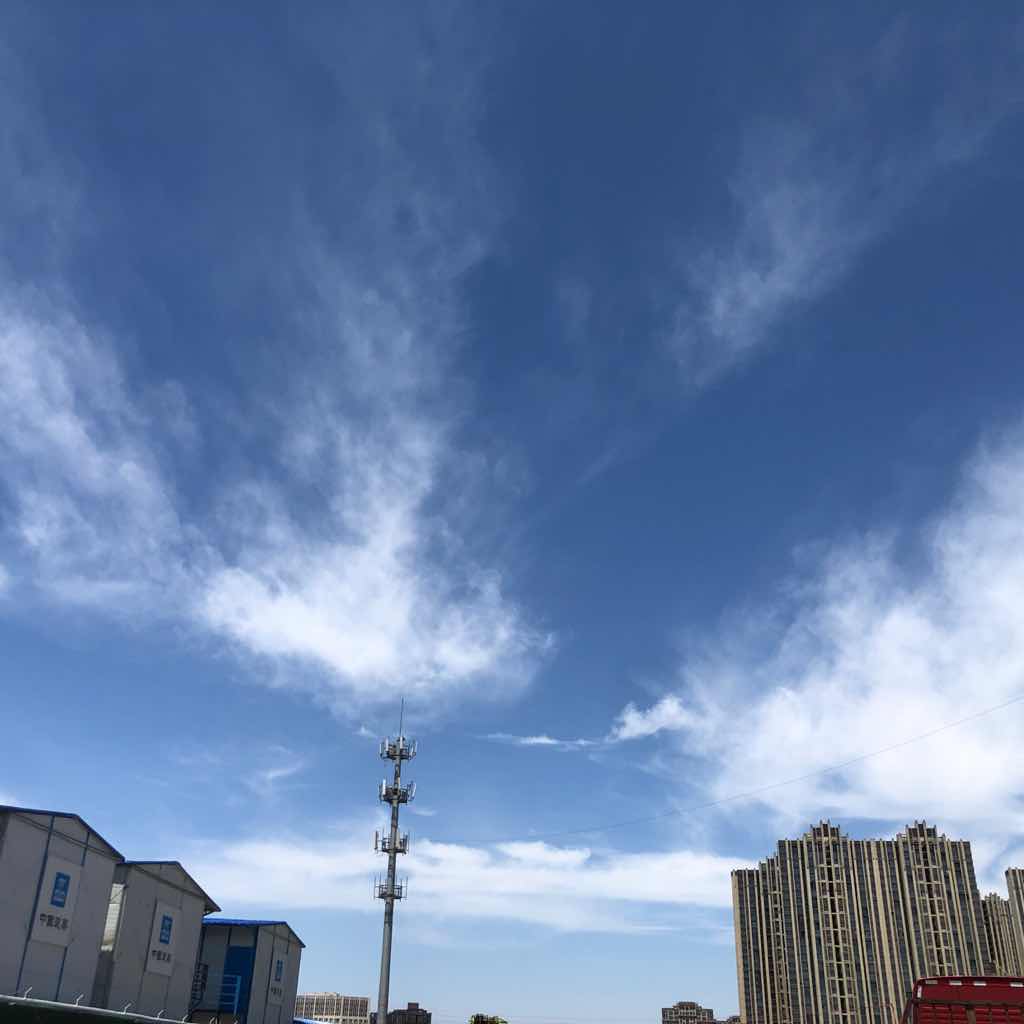 逻辑思维：聪明人是如何思考的