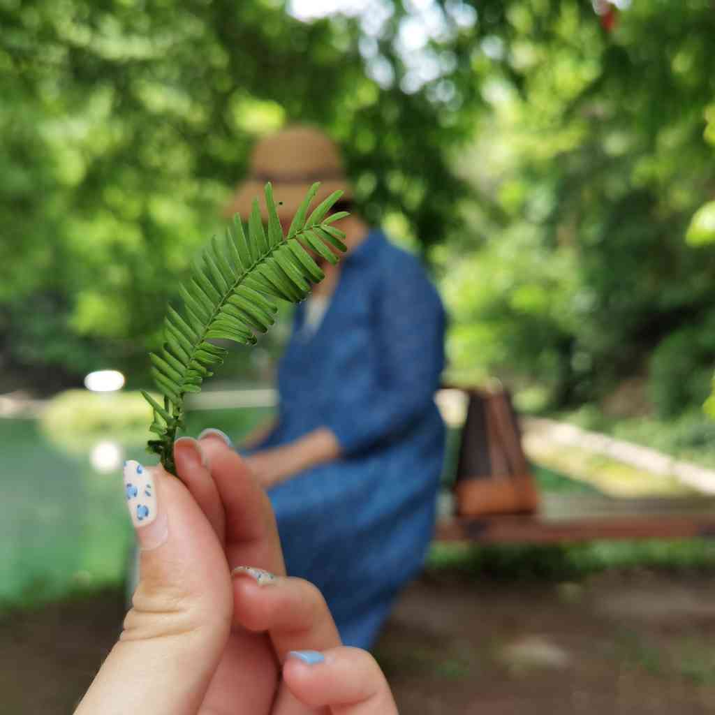 国际关系学精要