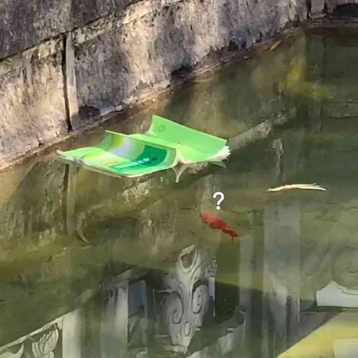 对抗焦虑，接纳自己