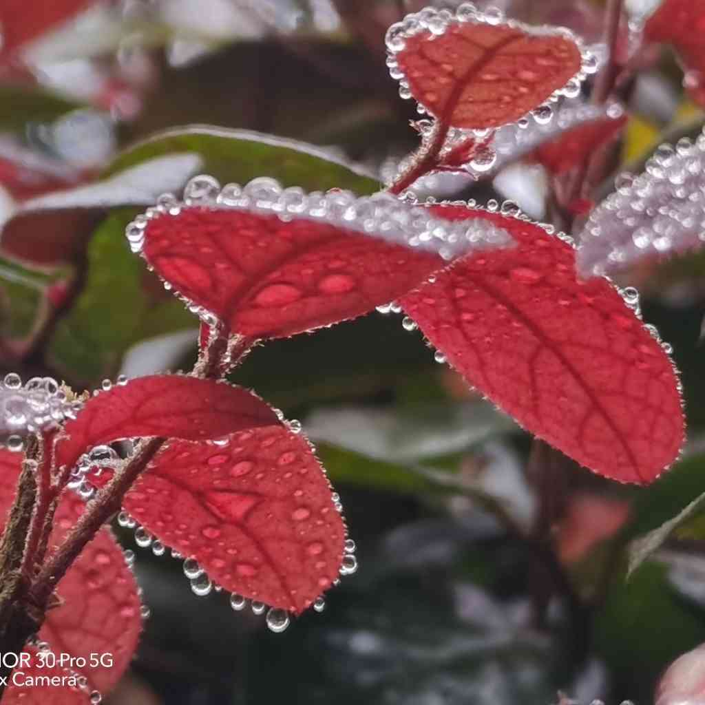 图解英语单词词根词缀