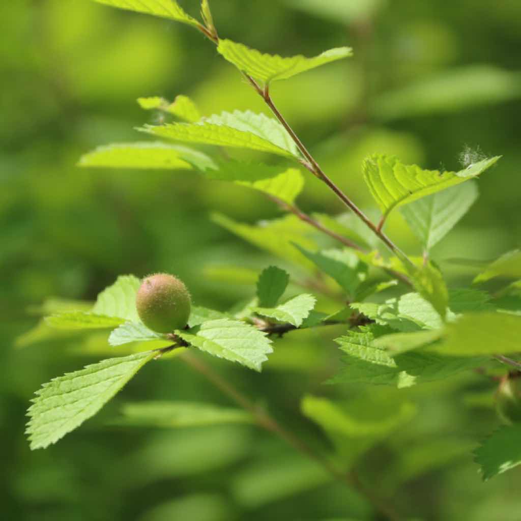 洛克菲勒写给儿子的38封信