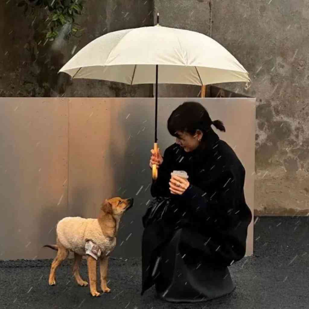 对抗焦虑，接纳自己