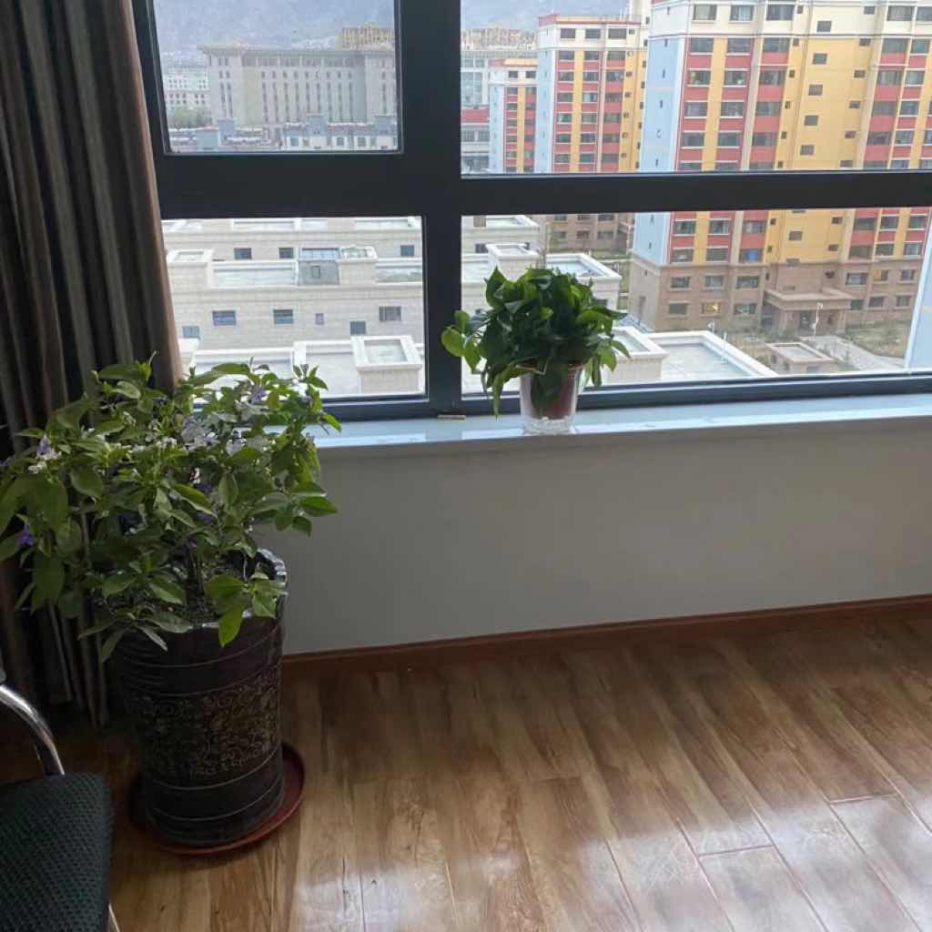 逻辑哲学论（汉译世界学术名著丛书）