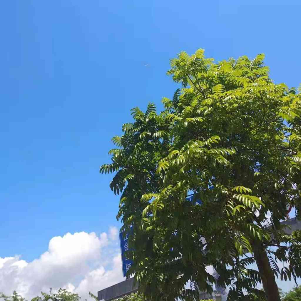 怪癖心理学
