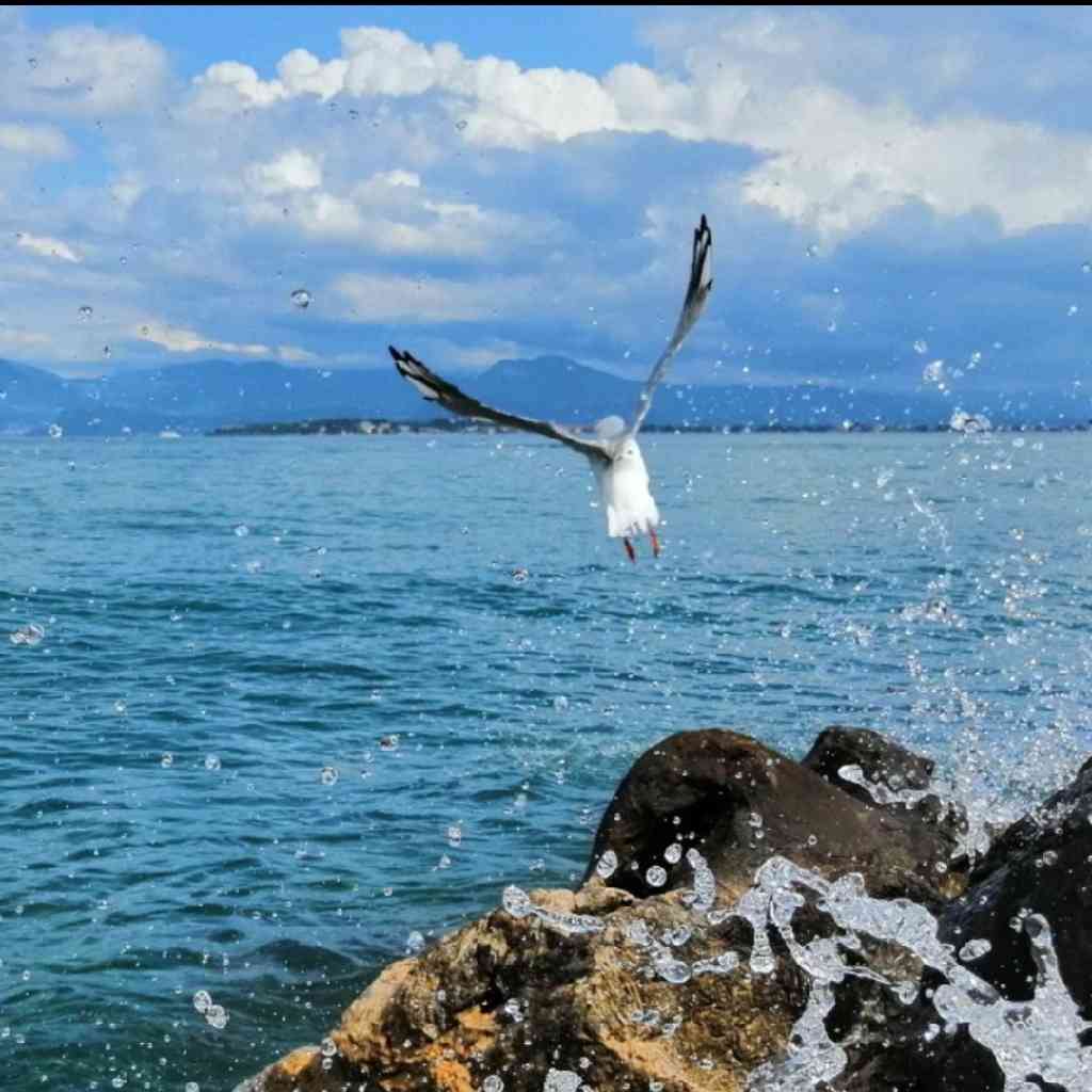 裸眼观星：零障碍天文观测指南