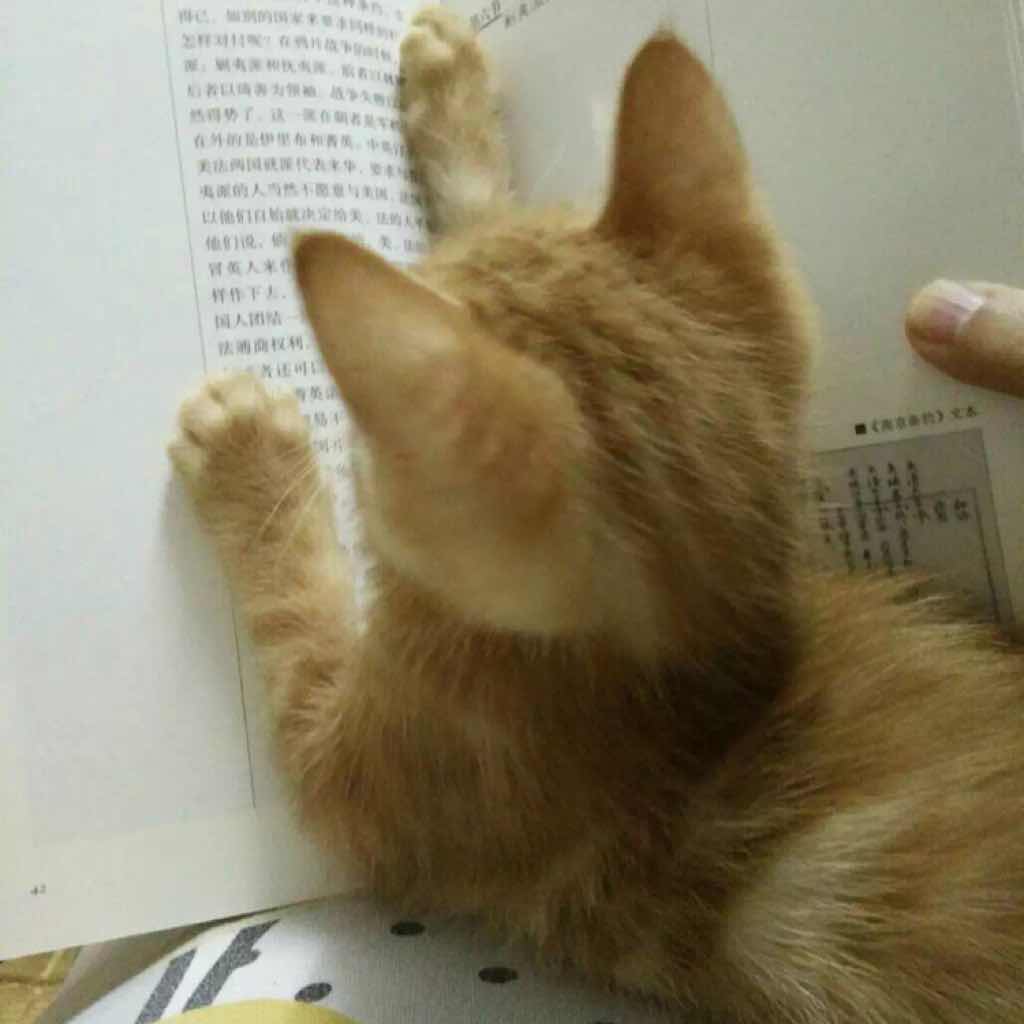 消防安全技术实务