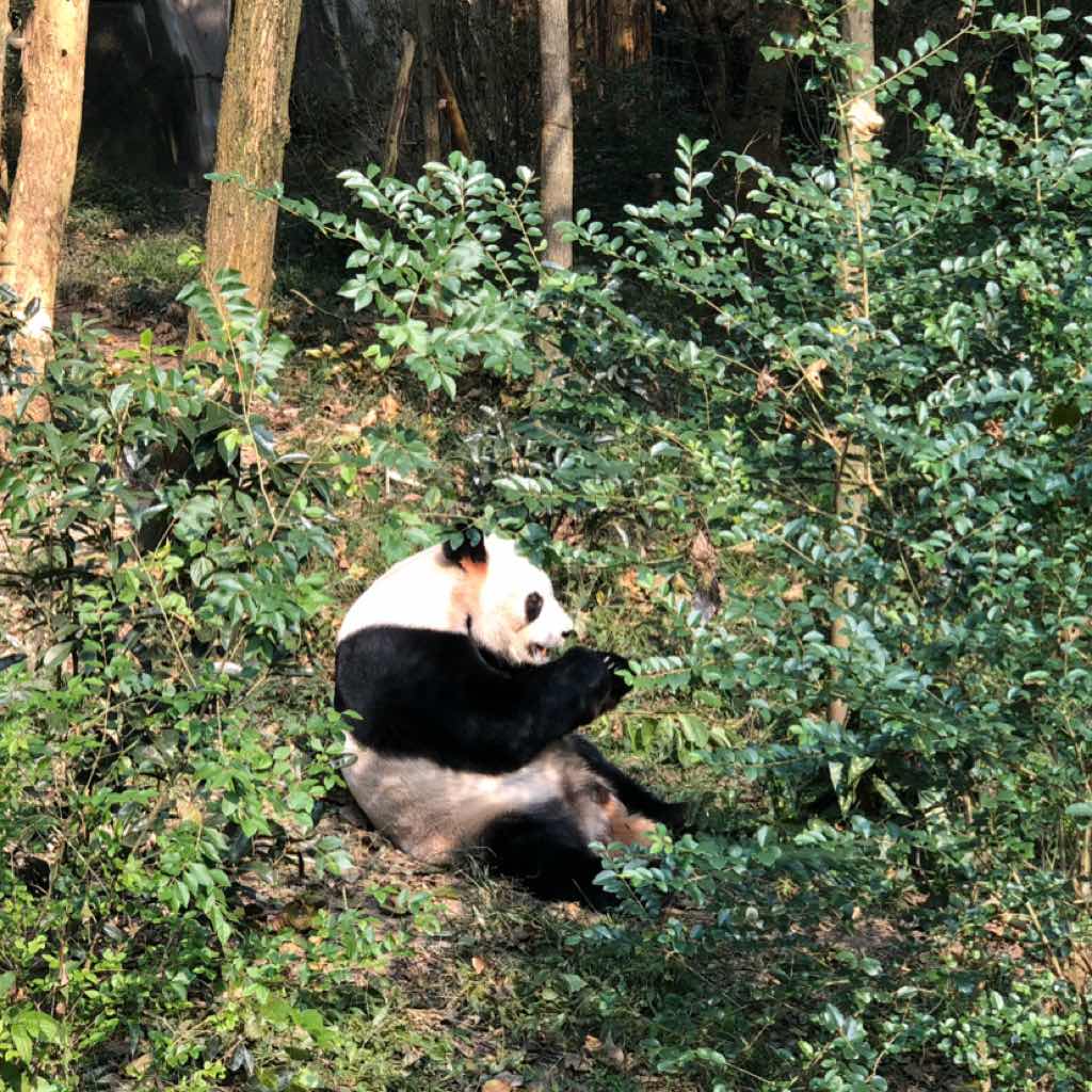 经典国学：曾国藩家书