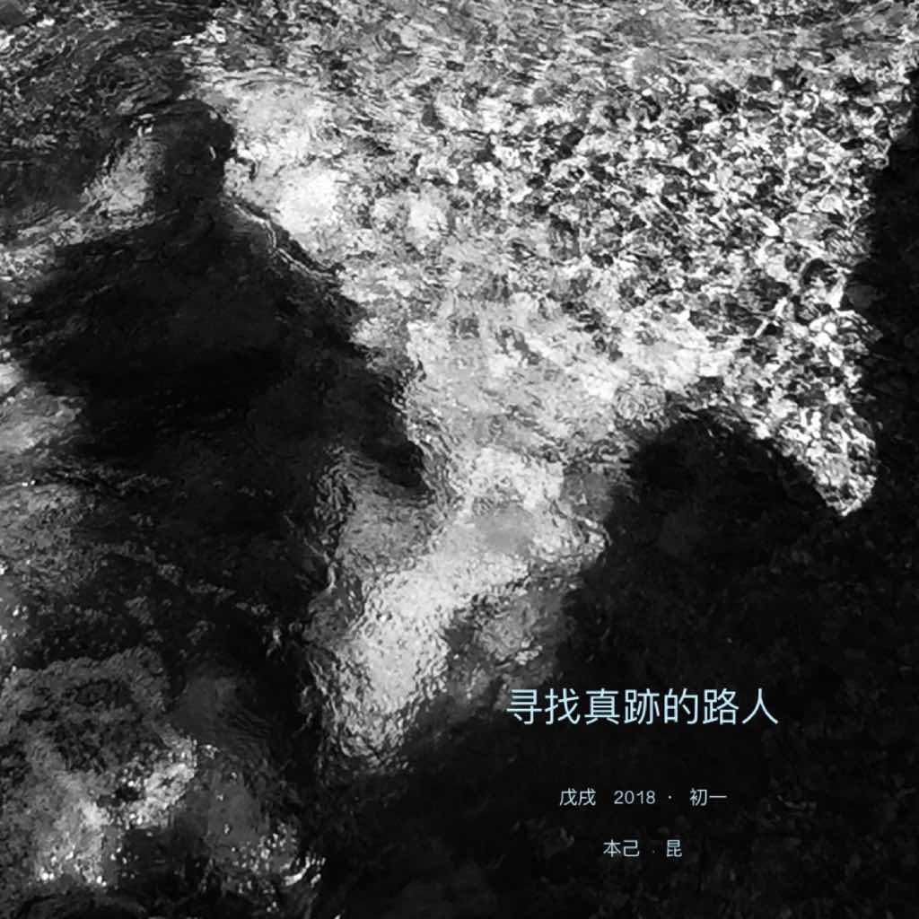 飘（全集）（经典译林）
