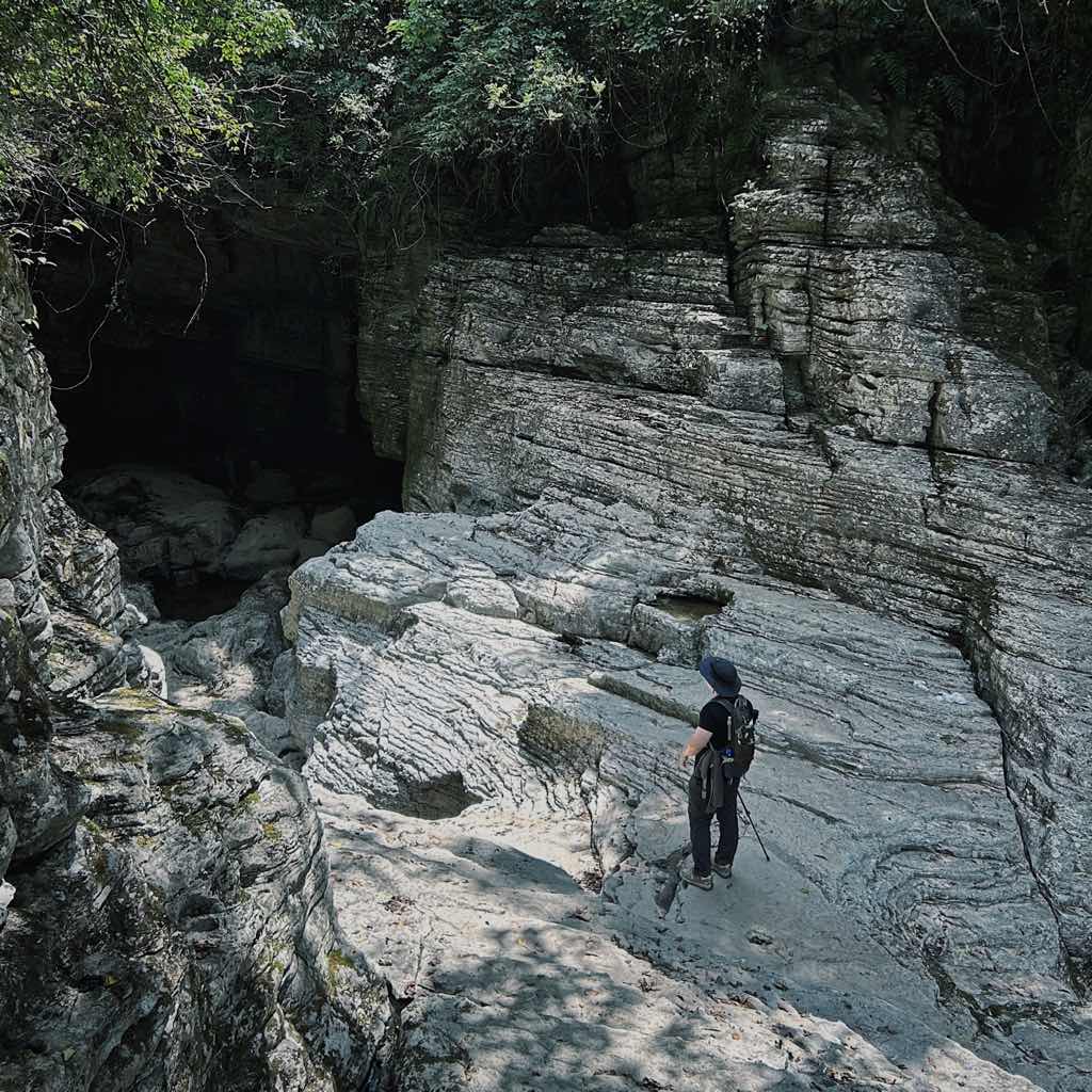 毛泽东点评历史人物（中册）