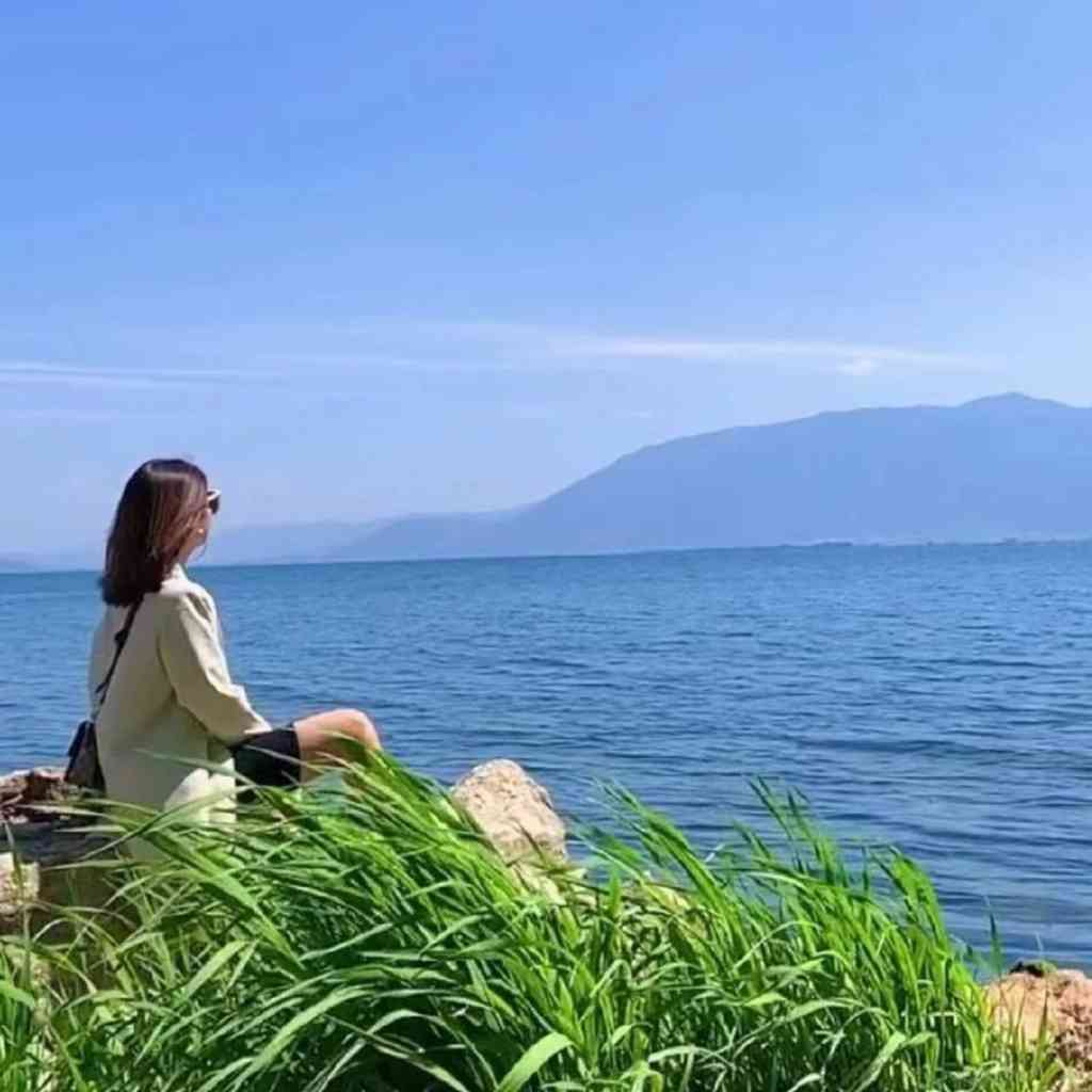 邹为诚《综合英语教程（2）》学习指南【词汇短语＋课文精解＋全文翻译＋练习答案】（第3版）