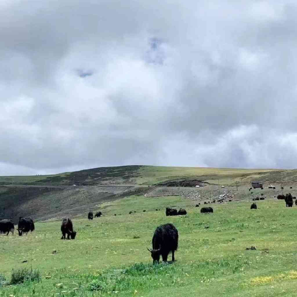 我们的后人类未来：生物科技革命的后果