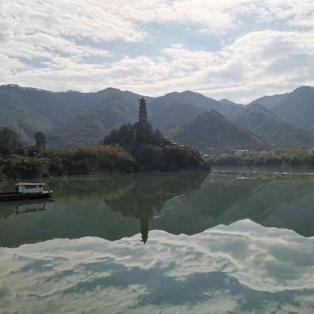 唯一的希望：在中国独生子女政策下成年