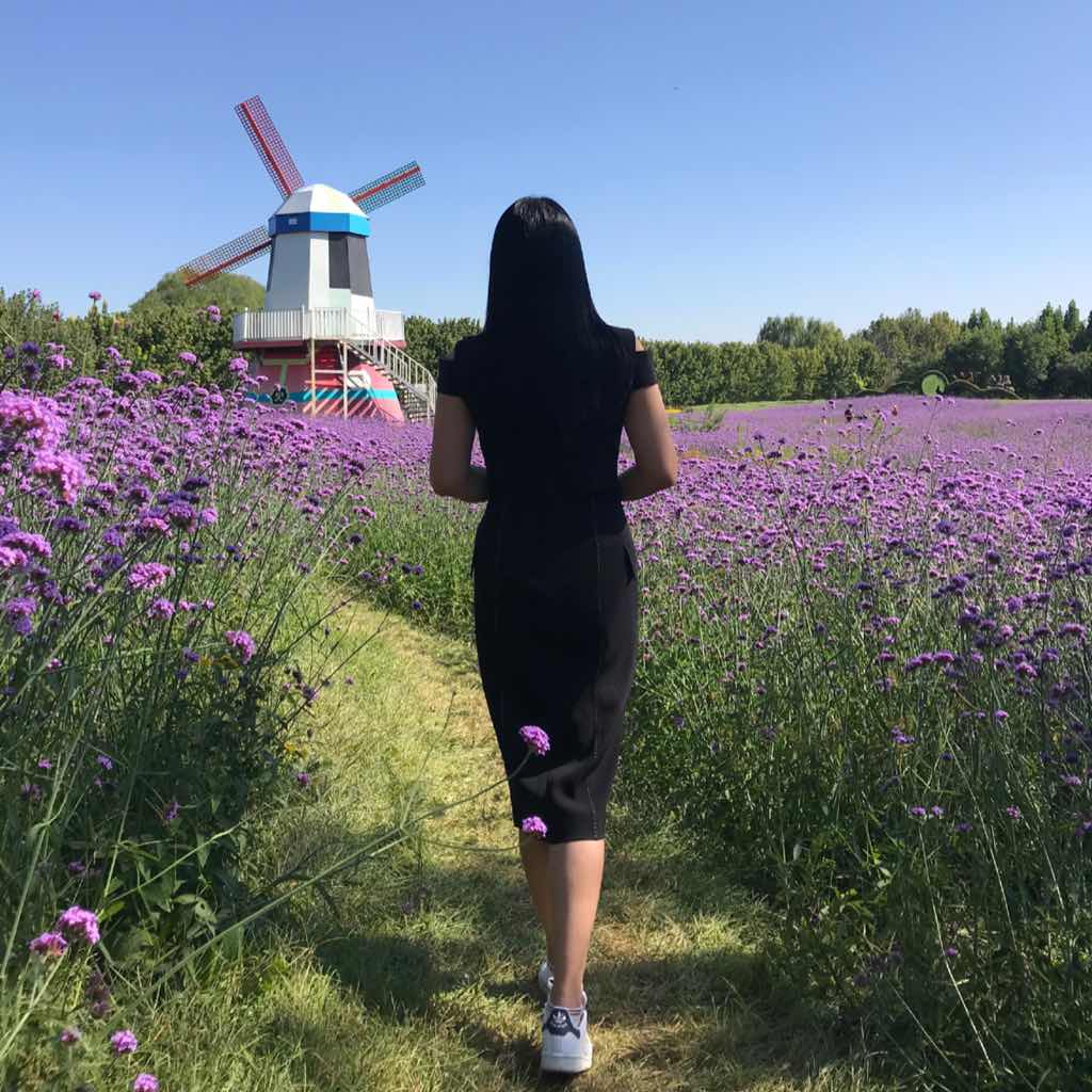 茶杯里的风暴
