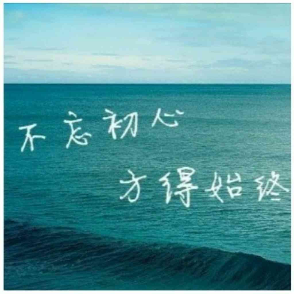 四大野战军征战纪事：中国人民解放军第一、第二、第三、第四野战军征战全记录