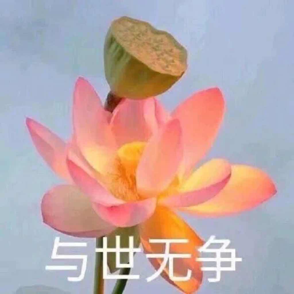 灰塔笔记 