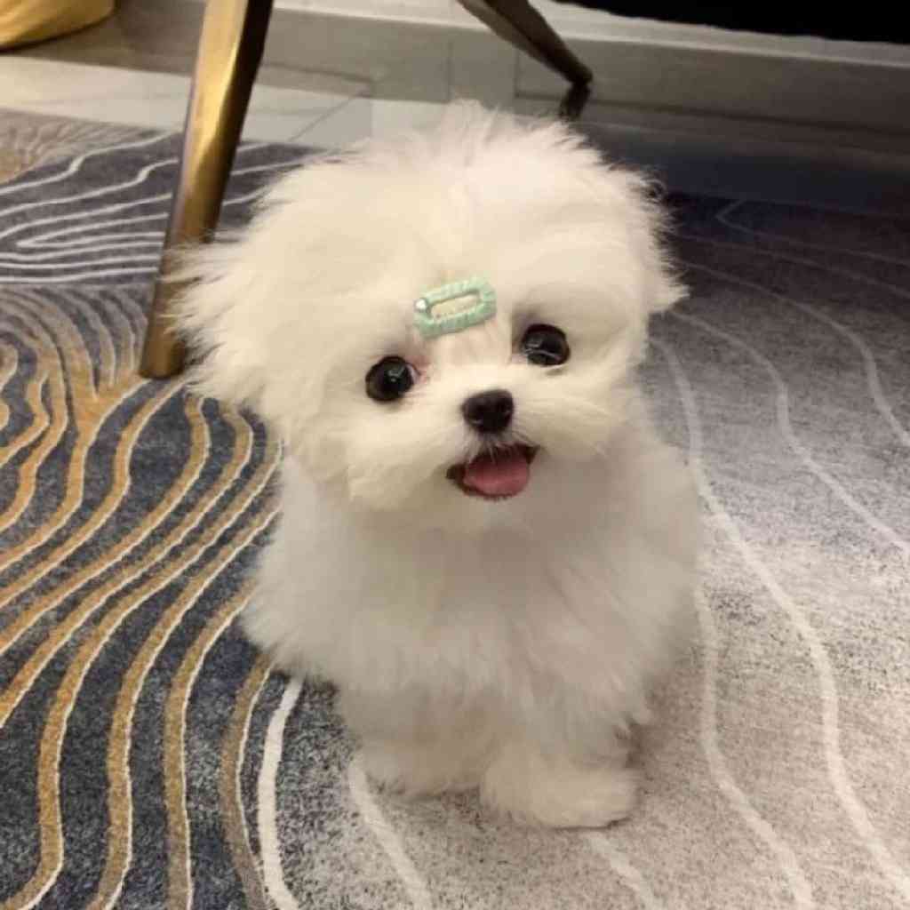 巴菲特：做你最仰慕的人