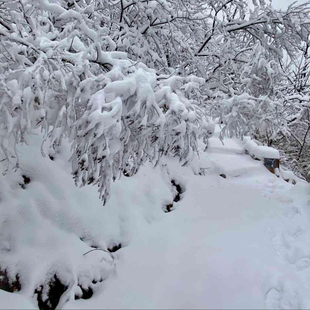 华与华正道