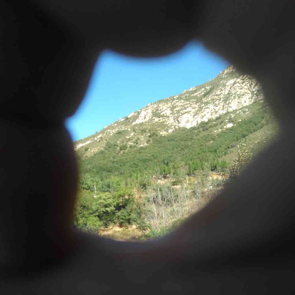 小群效应