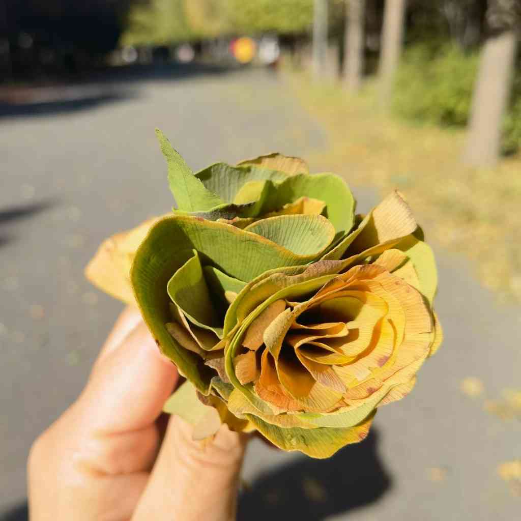 孙子兵法（白话全译）