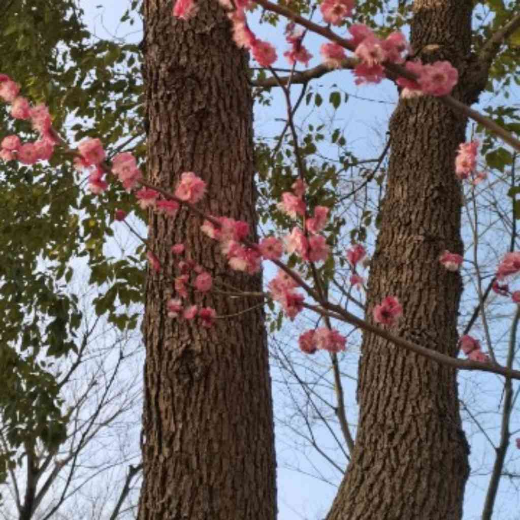 图解：人生三会：会说话 会办事 会做人