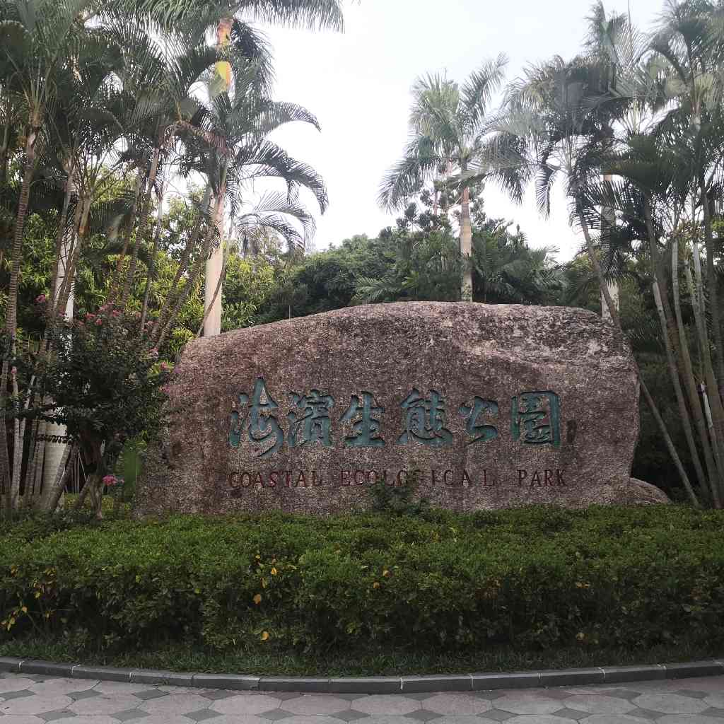 东方智圣鬼谷子