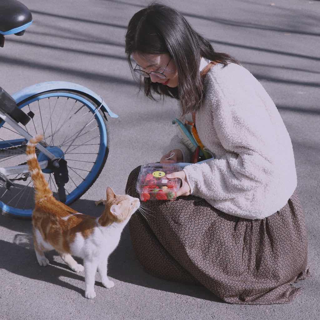 食物语言学（新视野人文丛书）